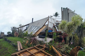 Tropical Cyclone Winston: Surviving the Fury