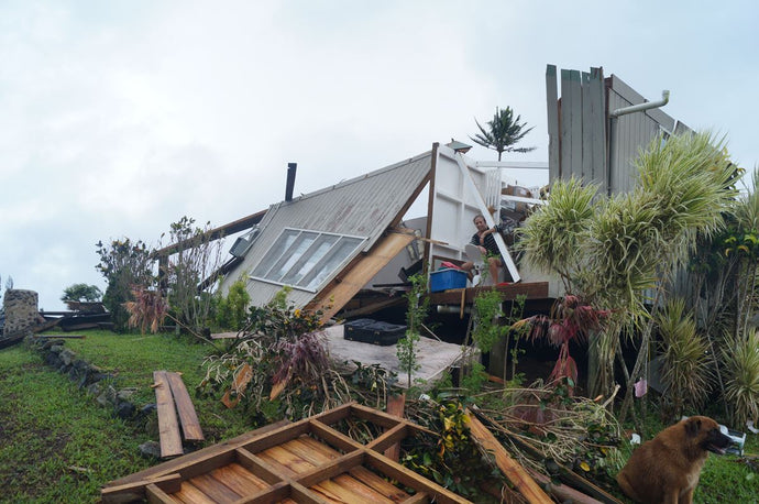 Tropical Cyclone Winston: Surviving the Fury